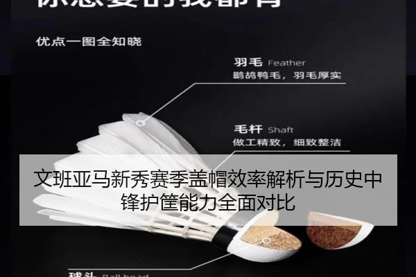 文班亚马新秀赛季盖帽效率解析与历史中锋护筐能力全面对比