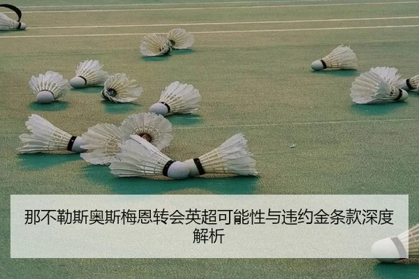 那不勒斯奥斯梅恩转会英超可能性与违约金条款深度解析